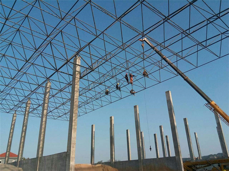 忻州加气站钢结构网架案例10